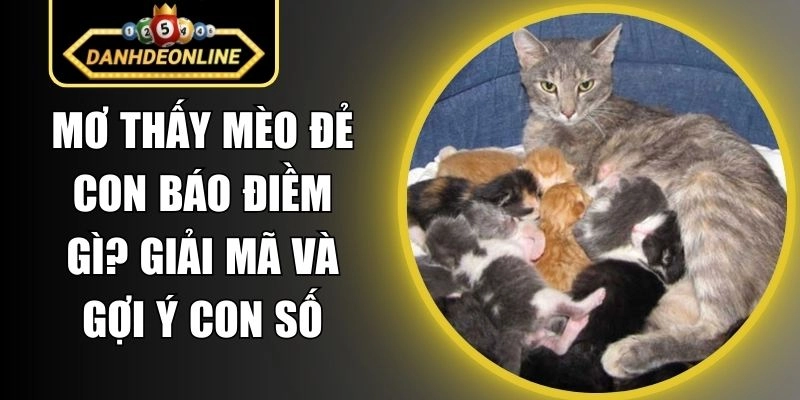 Mơ Thấy Mèo Đẻ Con Báo Điềm Gì? Giải Mã Và Gợi Ý Con Số